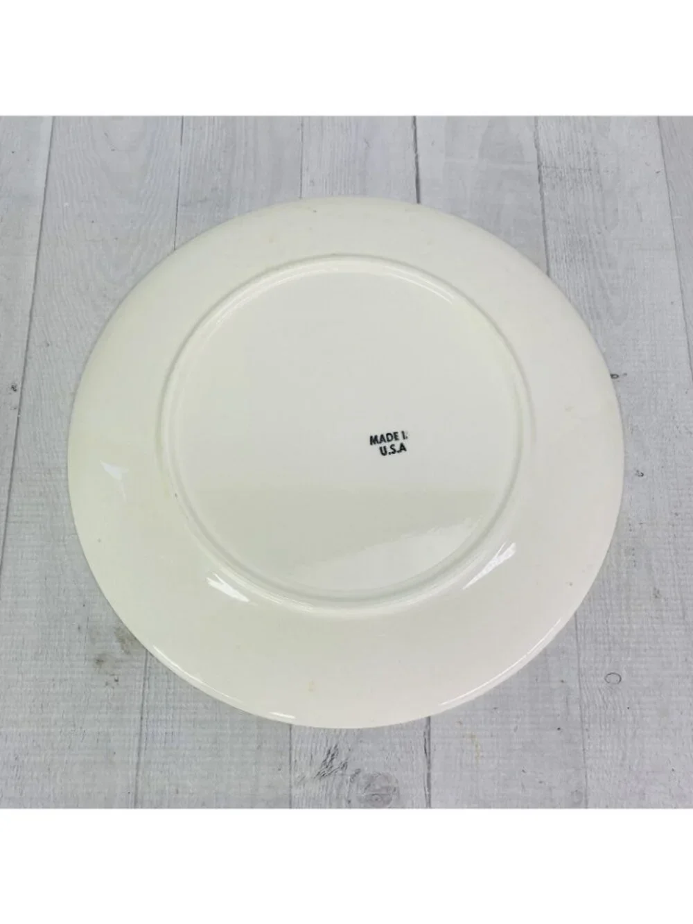 70's Taylor Smith Taylor TS&T Ironstone GREEN SPAN Floral Bands Serving Platter